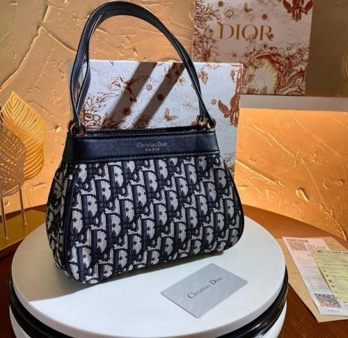 Christian Dior Christian Dior Oblique Small D Key Bag With Og Box